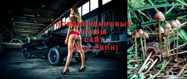 таблы Елабуга
