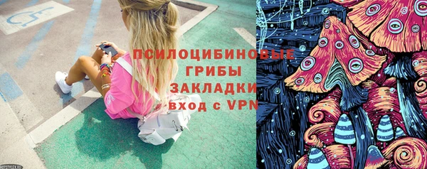 крисы Зеленокумск
