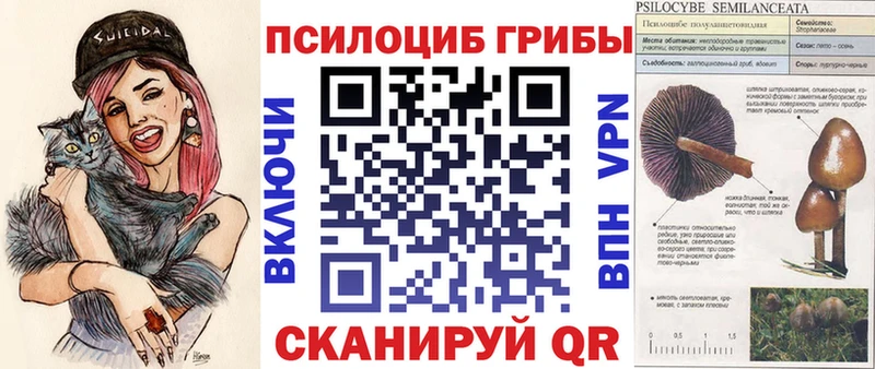 Псилоцибиновые грибы Cubensis  Купить где  Мещовск 