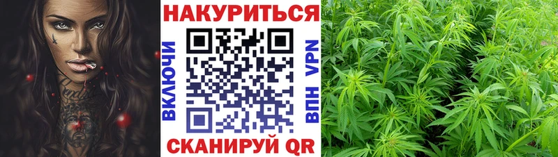 МАРИХУАНА гибрид  Купить  Мещовск 
